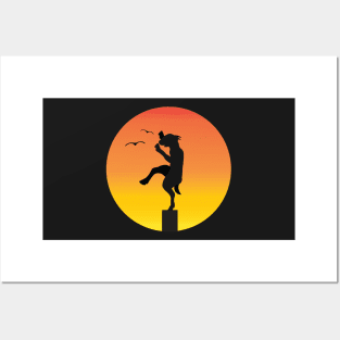 Karate kid Posters and Art